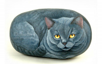 Гораций - серый кот